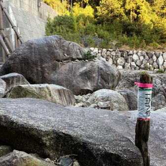 こんなところにもゴジラ岩。いや、今日の目的のゴジラ岩はこの子ではありません。顎が長いし（笑）