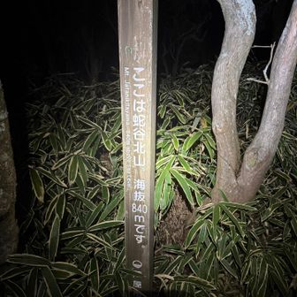 ヘッデンとハンディライトで安全ハイクw