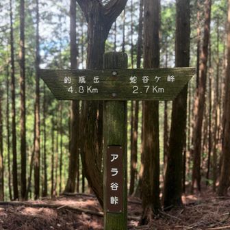 アラ谷峠きました