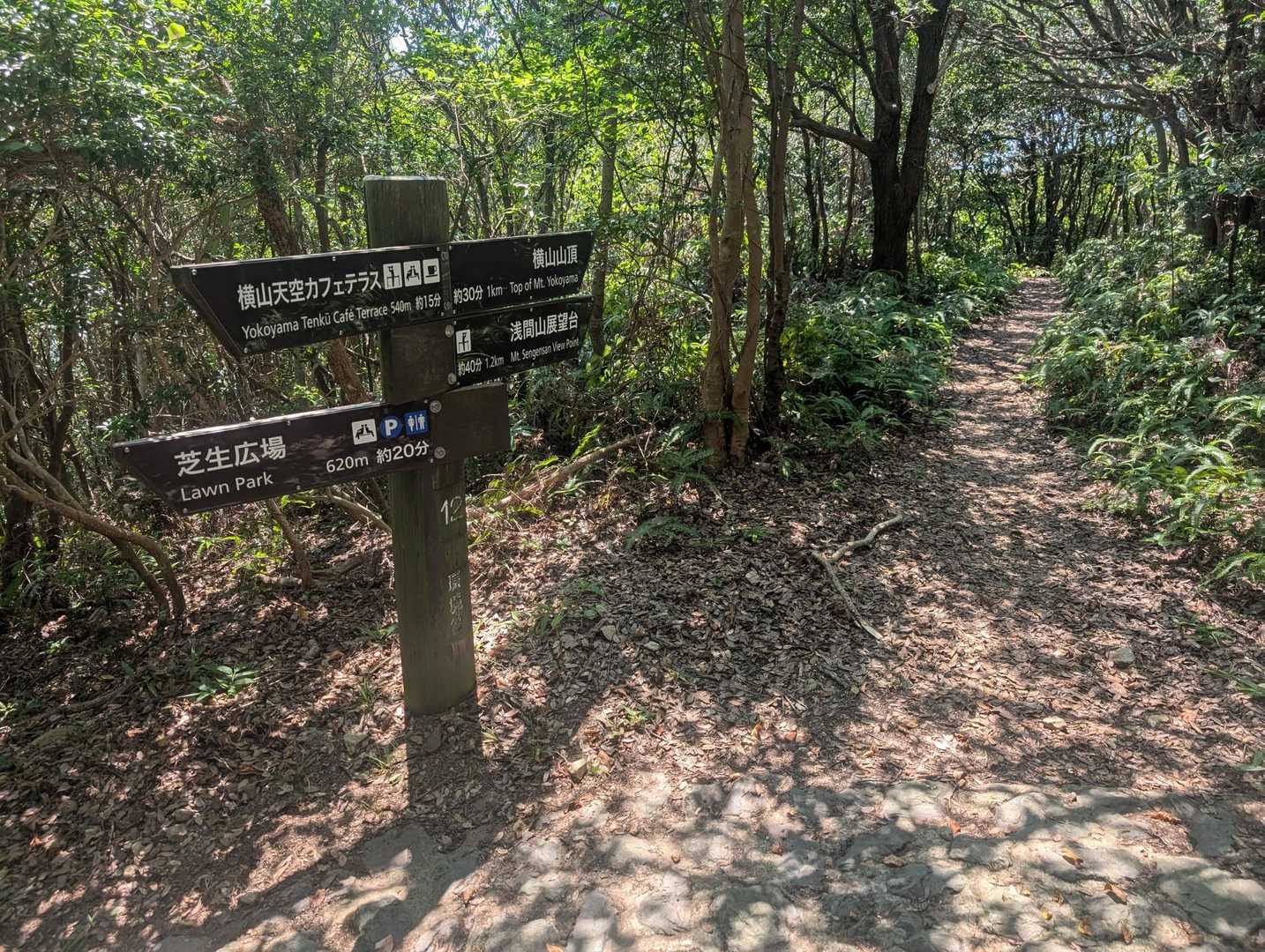 ここからトレイル区間に入り、横山を目指す🚶