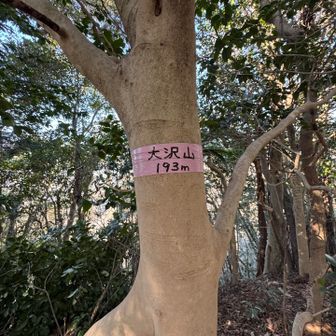 ここでも大沢山マークを見つけた！