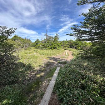 日本庭園のような場所がある
山頂に来て、よかったと癒されます😌