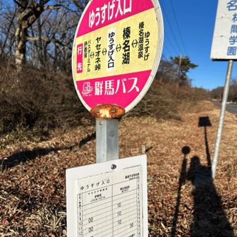 ピストン下山して戻りバス停を過ぎれば