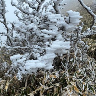 海老の尻尾🦐
風に吹かれて海老の尻尾が飛んでくる
顔に当たると痛い