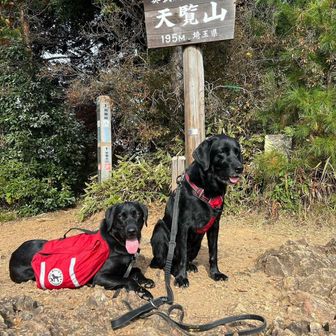 angie &amyかーさん