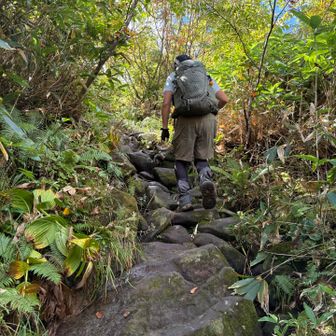 辛抱の樹林帯といった感じ
私はこの感じ飽きずに登れました
甲武信岳の徳ちゃん新道とか好きな方にはおすすめかも。