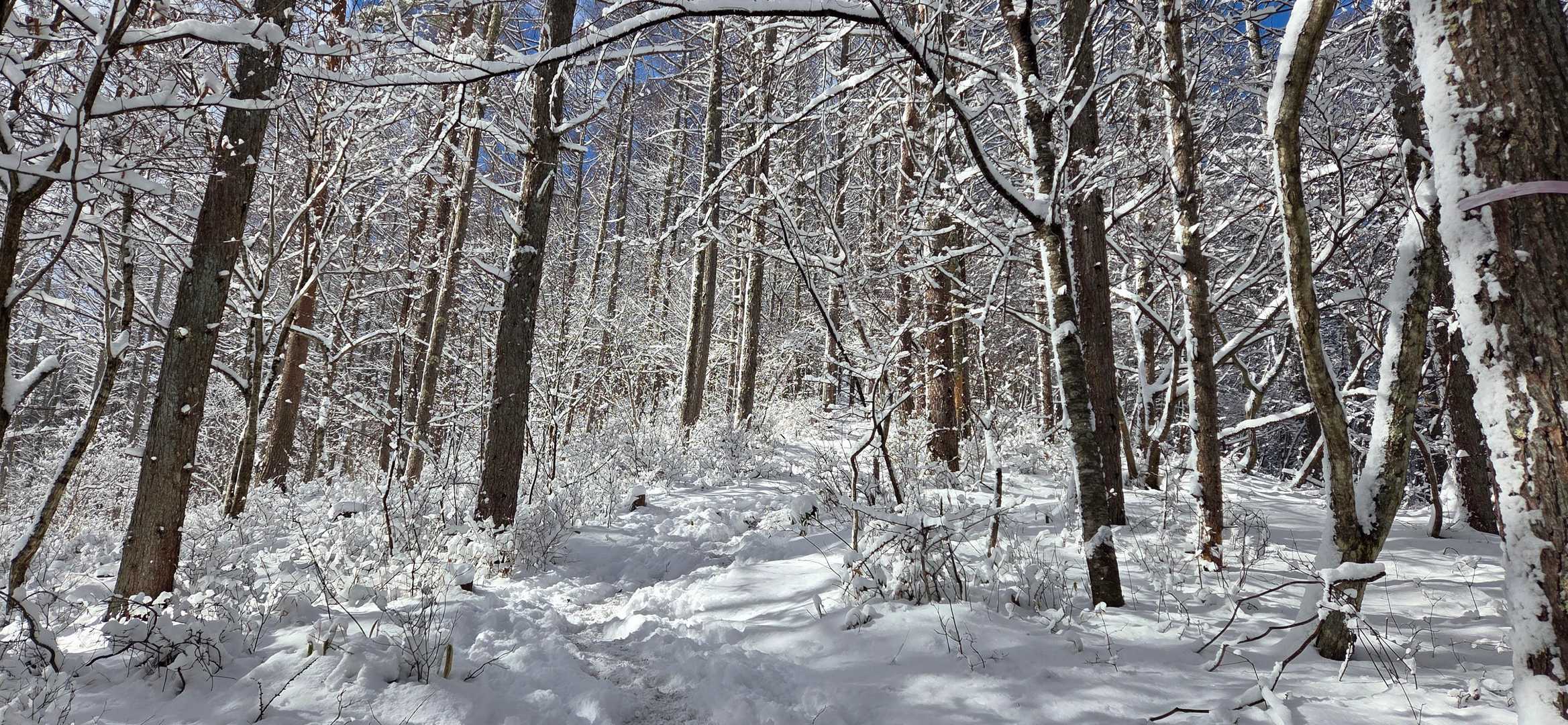 スロースタートですが
のんびり登ります