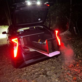 　　なんとか🚗から引き出す