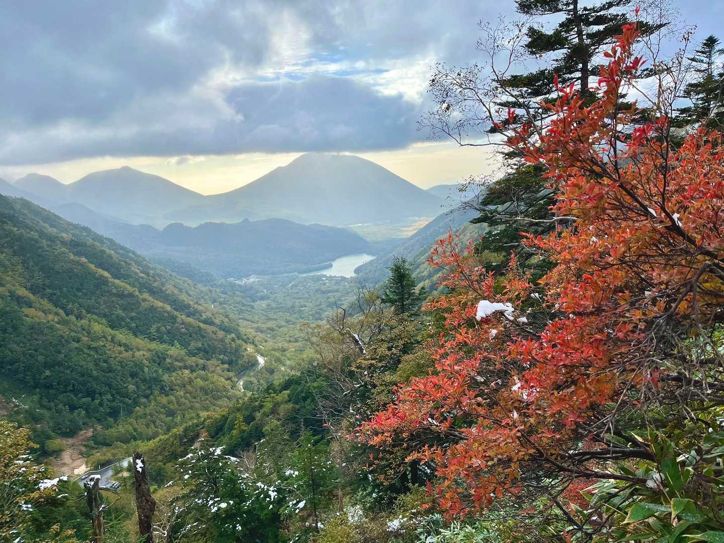 ところどころ紅葉🍁が😁