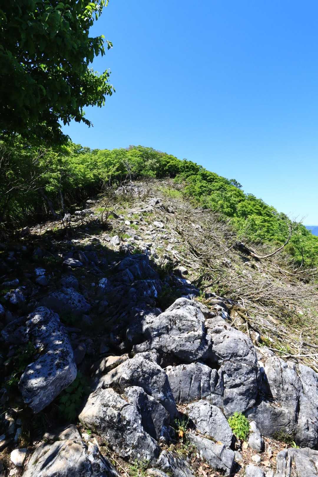 気持ち良い稜線でした