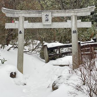 雪が降りましたね。今年もお世話になりました。