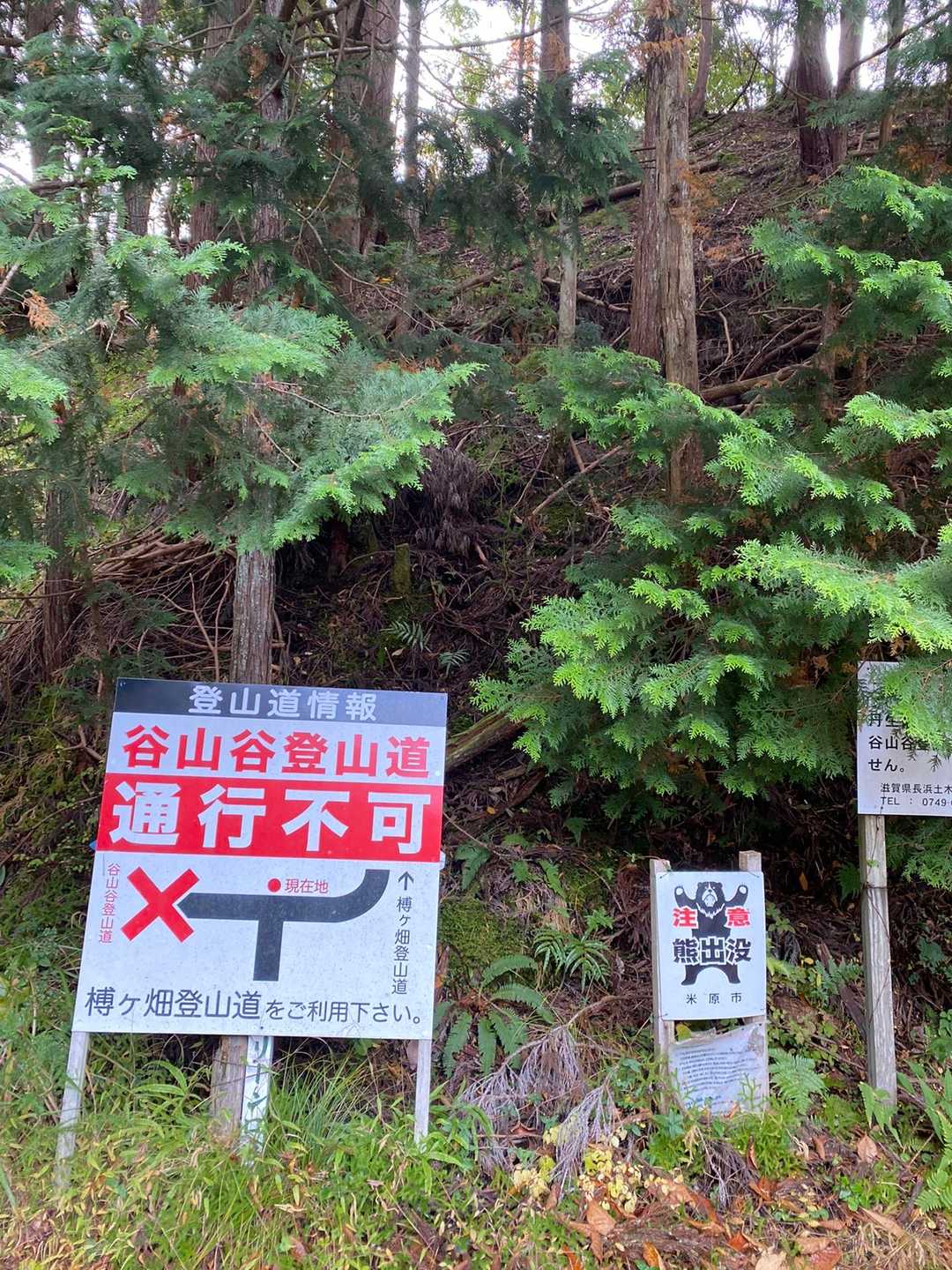 さてやっと登山口