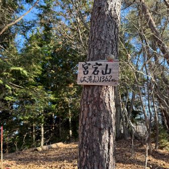 愛宕山到着てるてる坊主いた‼️