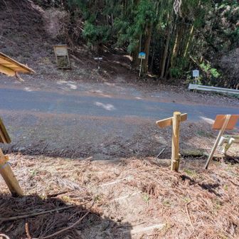 芋ヶ峠で一旦舗装路と交差する
ここからは大淀古道になるらしい