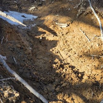 で、、、
ここでスッ転びました。
ずべぇーーっと、、、

ゲシゲシ殺しの坂と命名しました。