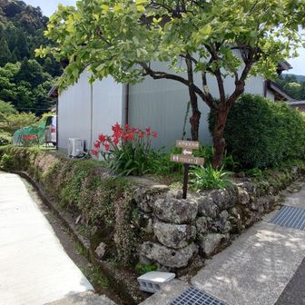 帰りはほんの少しショートカット。
