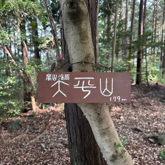 太平山ゲット！こちらも素晴らしい名板！