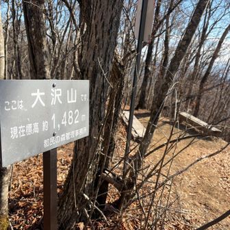大沢山