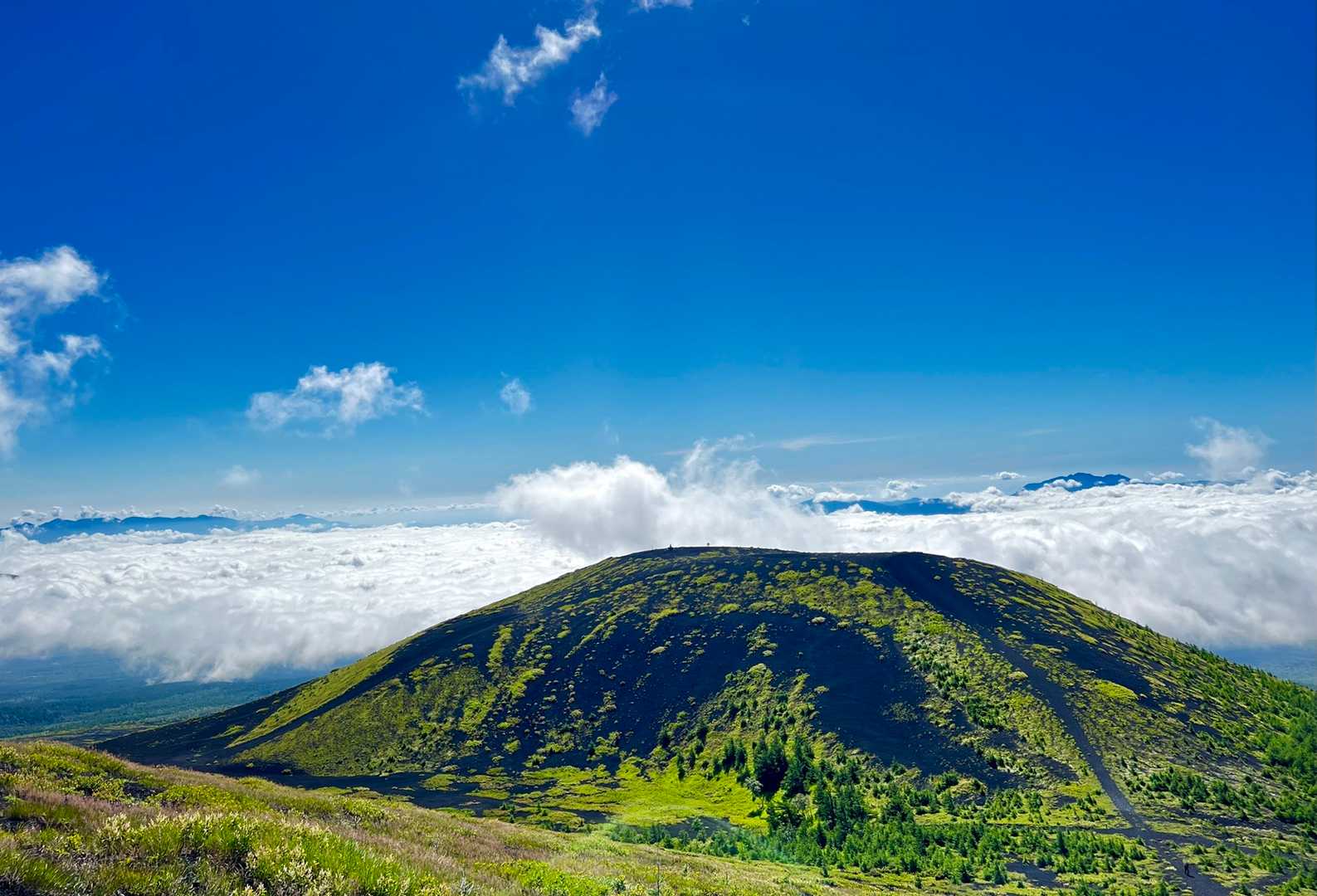 下ツ塚と箱根山、丹沢ですかね。