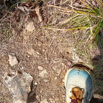 シューズのメッシュ部分がこの間の湯桶丸で破れた
家帰って裁縫したけど

引っ掛けた自分が悪いが、足先の防御力は、スポルティバの方がつま先周りとかしっかりしているように思う😅