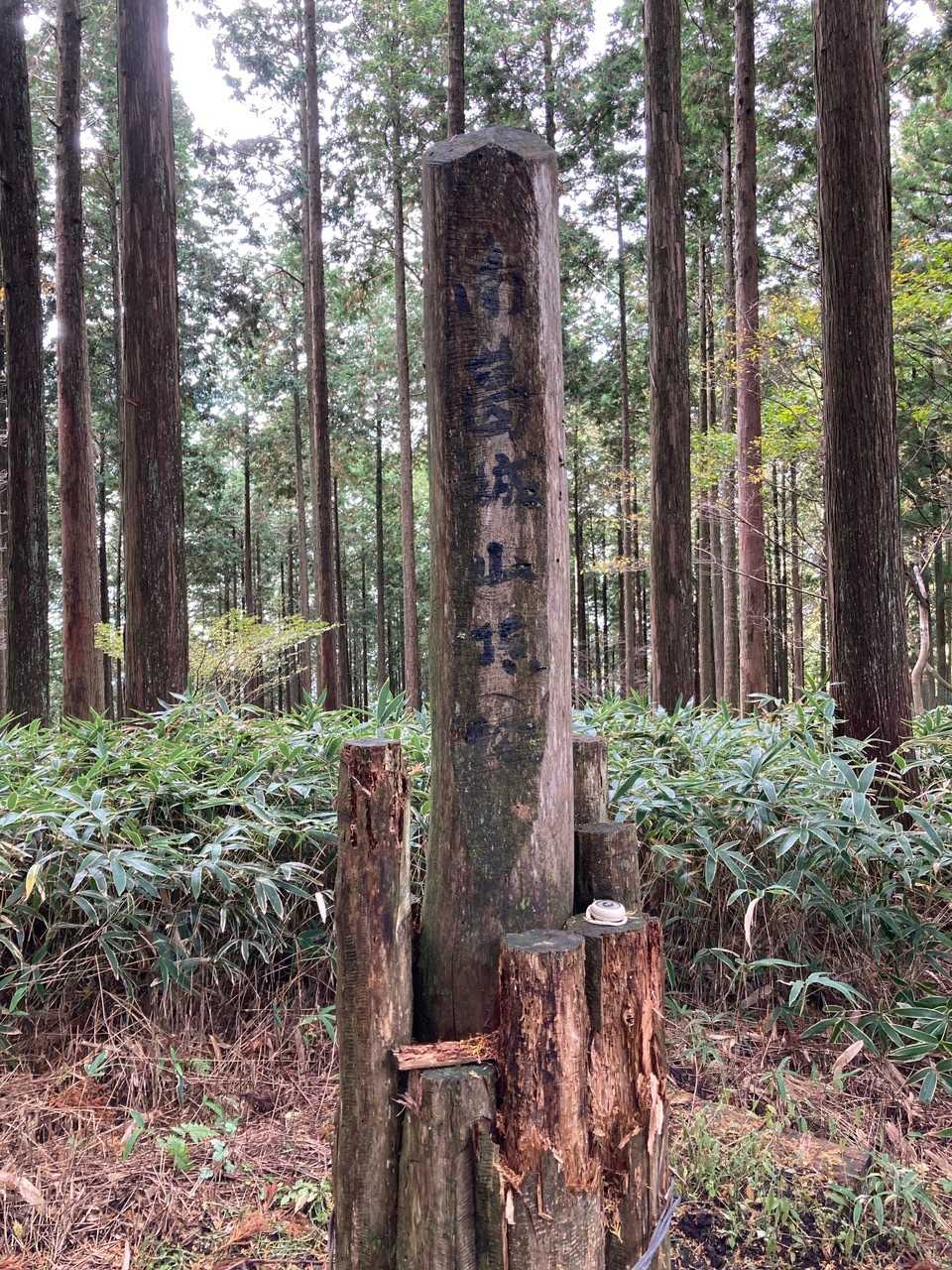 蔵王峠-南葛城山 往復コースの写真