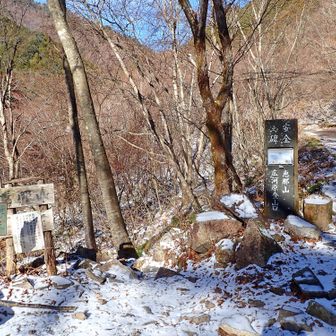 登山口（ここから駐車場までの林道歩きが長かった…）