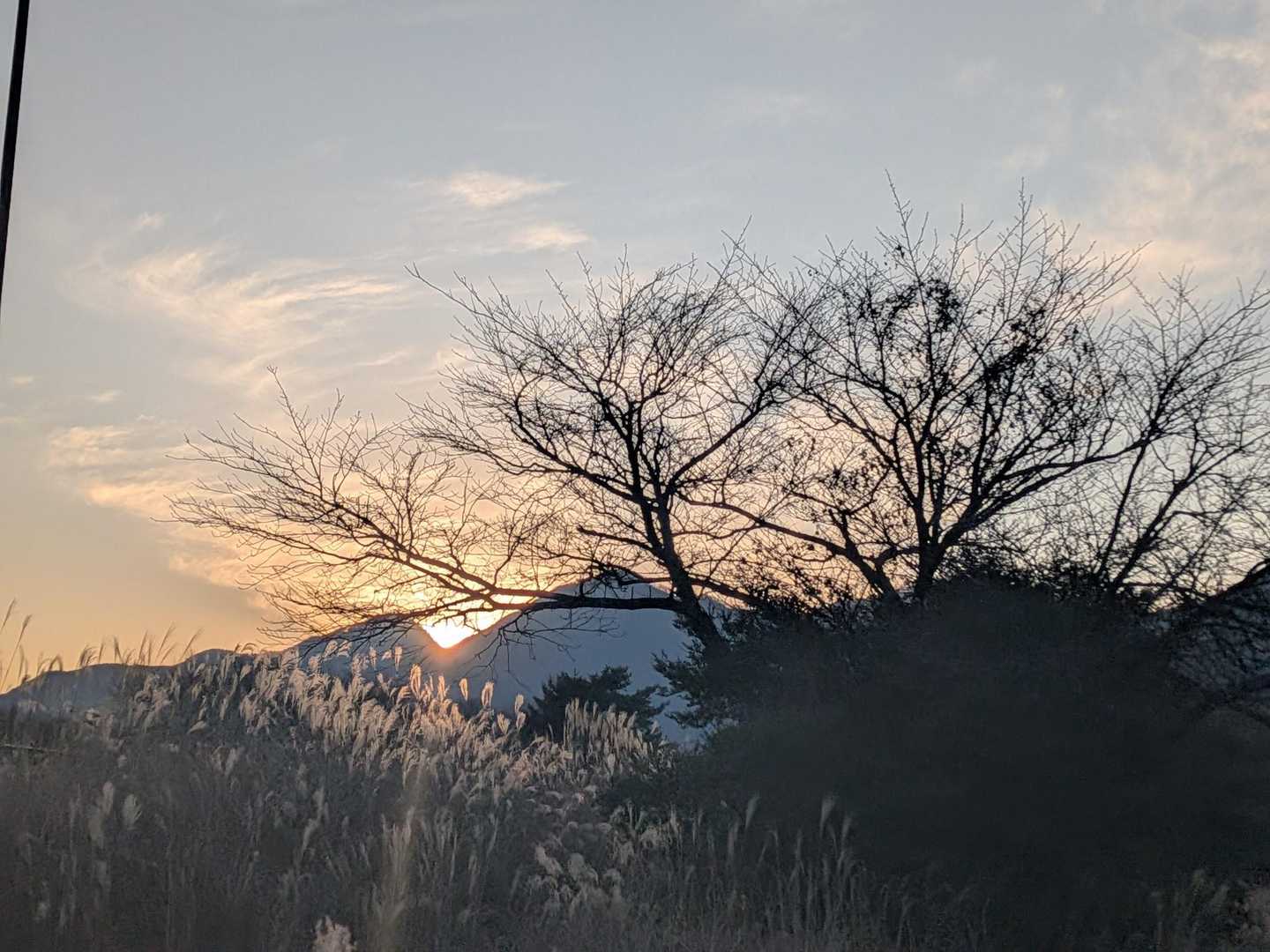 一休山 往復コースの写真