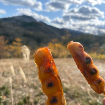 こんなに食べて🍡まで😅
二上山と