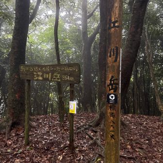 近回りせず江川岳も踏ました