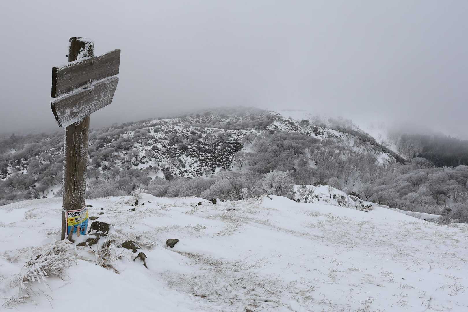 ホッケ山🏔️登頂👍
予定より1時間以上遅れました😅
蓬莱山🏔️までコースタイム65分🚶ラッセルしながらだと15時までに下山できなさそうなので、今日は諦めて下山します😊