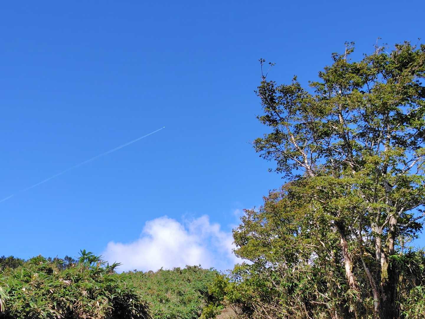 夏空😄
