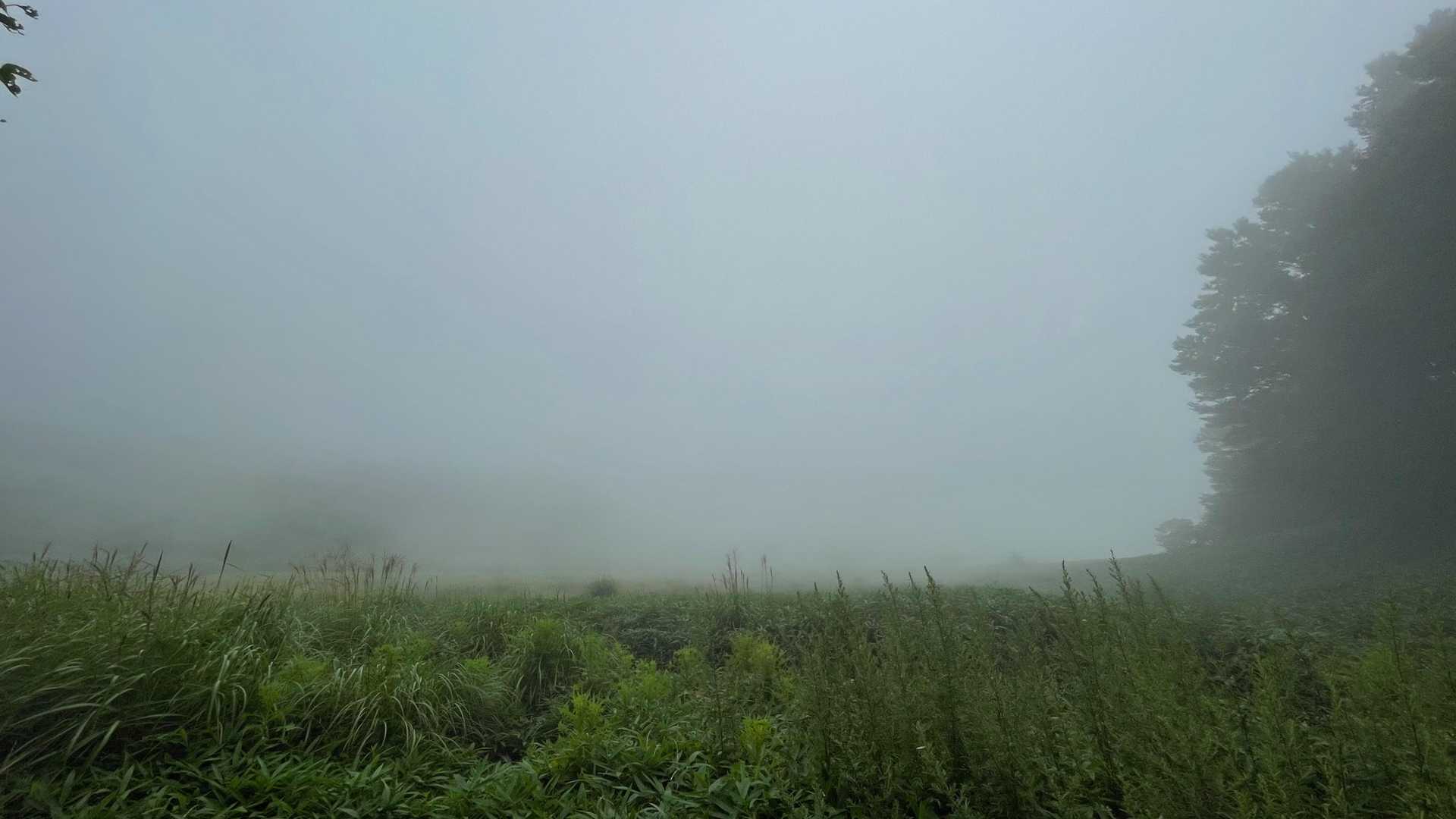 雨もポツポツしてきたので急いで帰ります