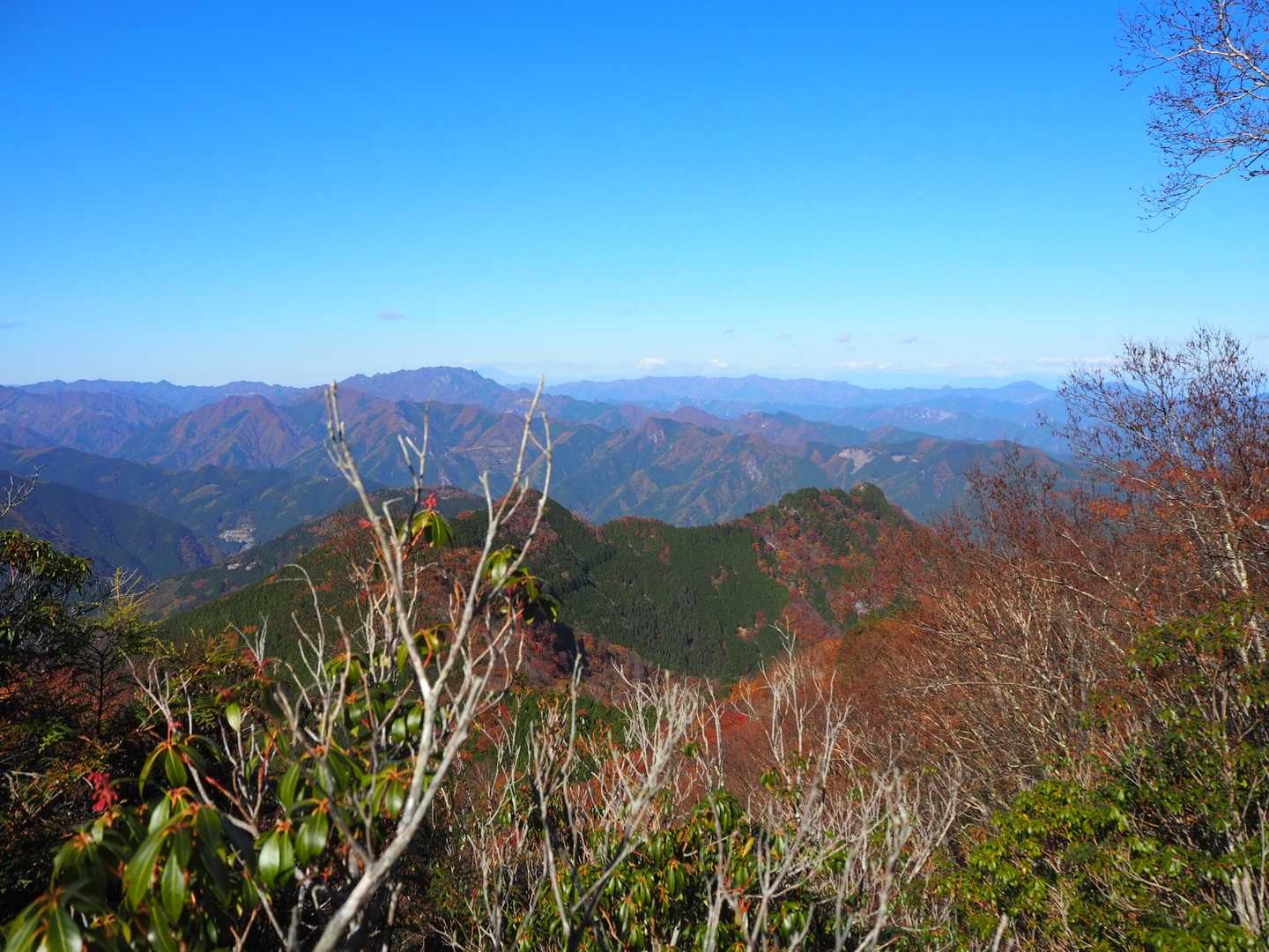 白岩山-前白岩山-お清平-霧藻ヶ峰-地蔵峠-三峰ビジターセ 縦走コースの写真