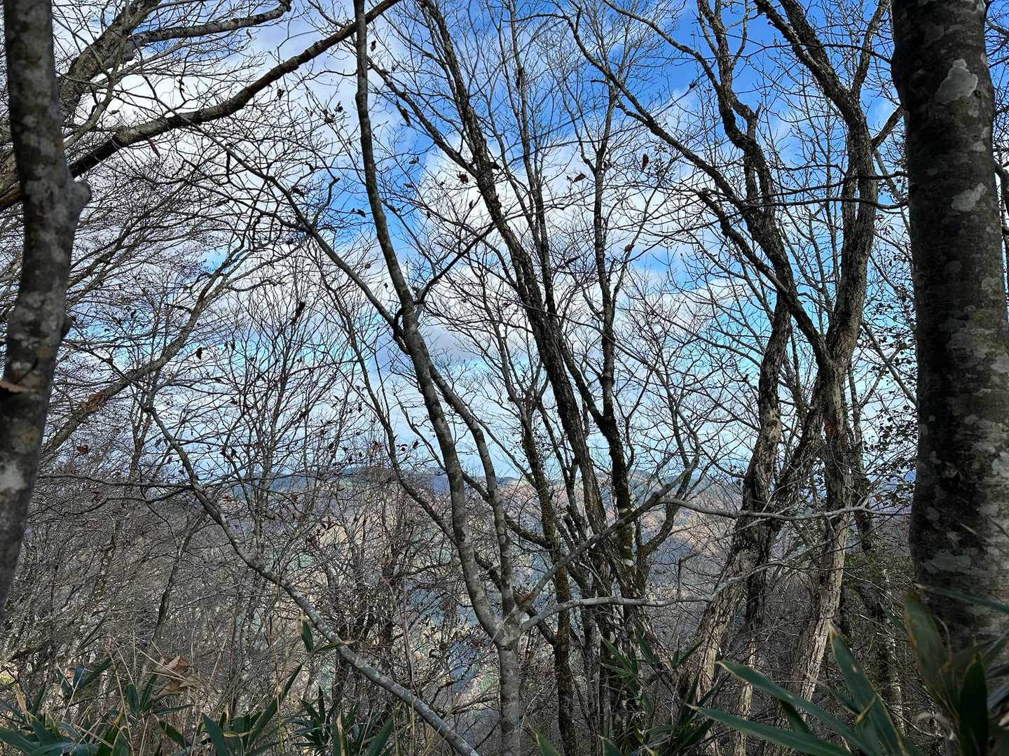 山頂到着
景色はありません😕