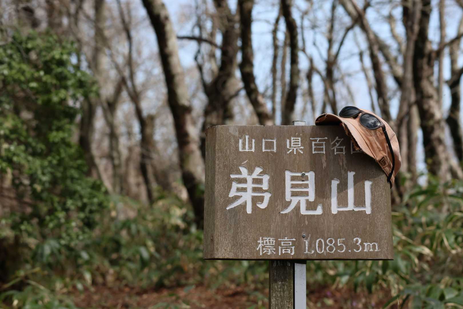 今日の山頂一番乗り(多分