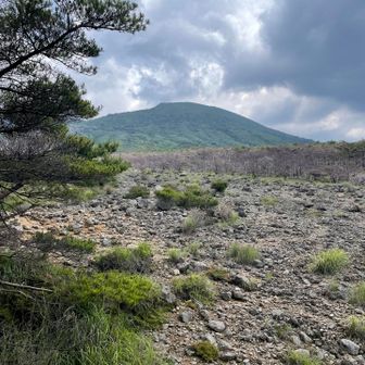 無事に下山できてよかった〜。
体力と筋力がかなり落ちてるのを感じました｡ﾟ(ﾟ´ω`ﾟ)ﾟ｡