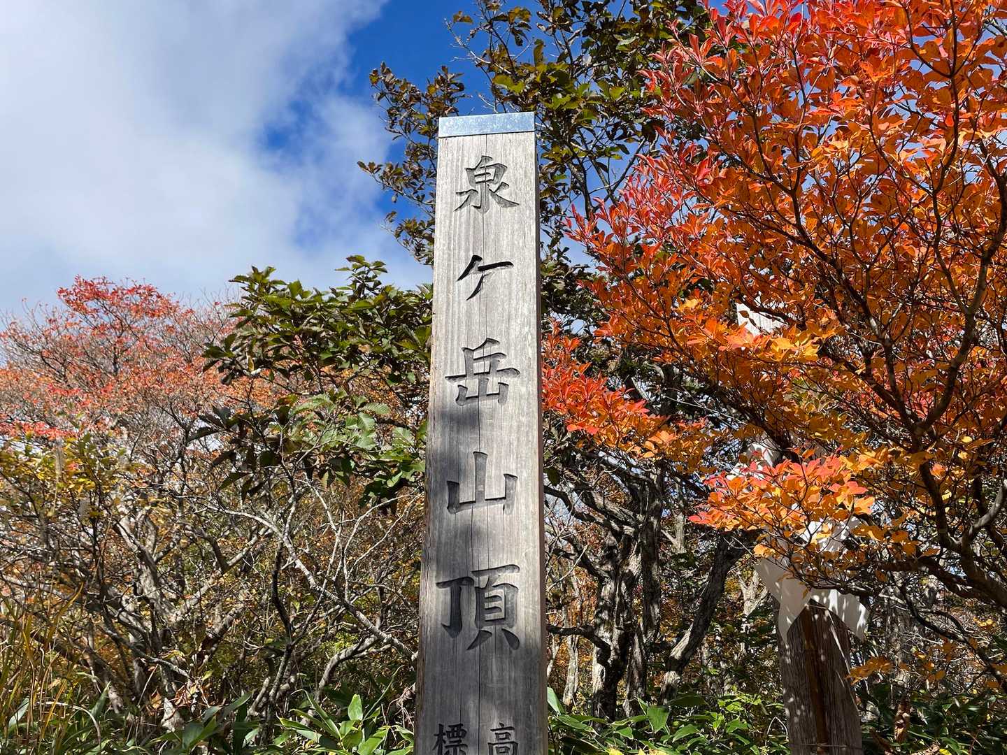山頂⛰️多くの方が休憩されていました！
通過して下山します！