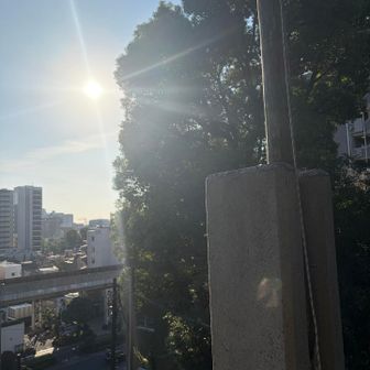 山頂から〜☀️
朝一行動は気持ちがいいですね
