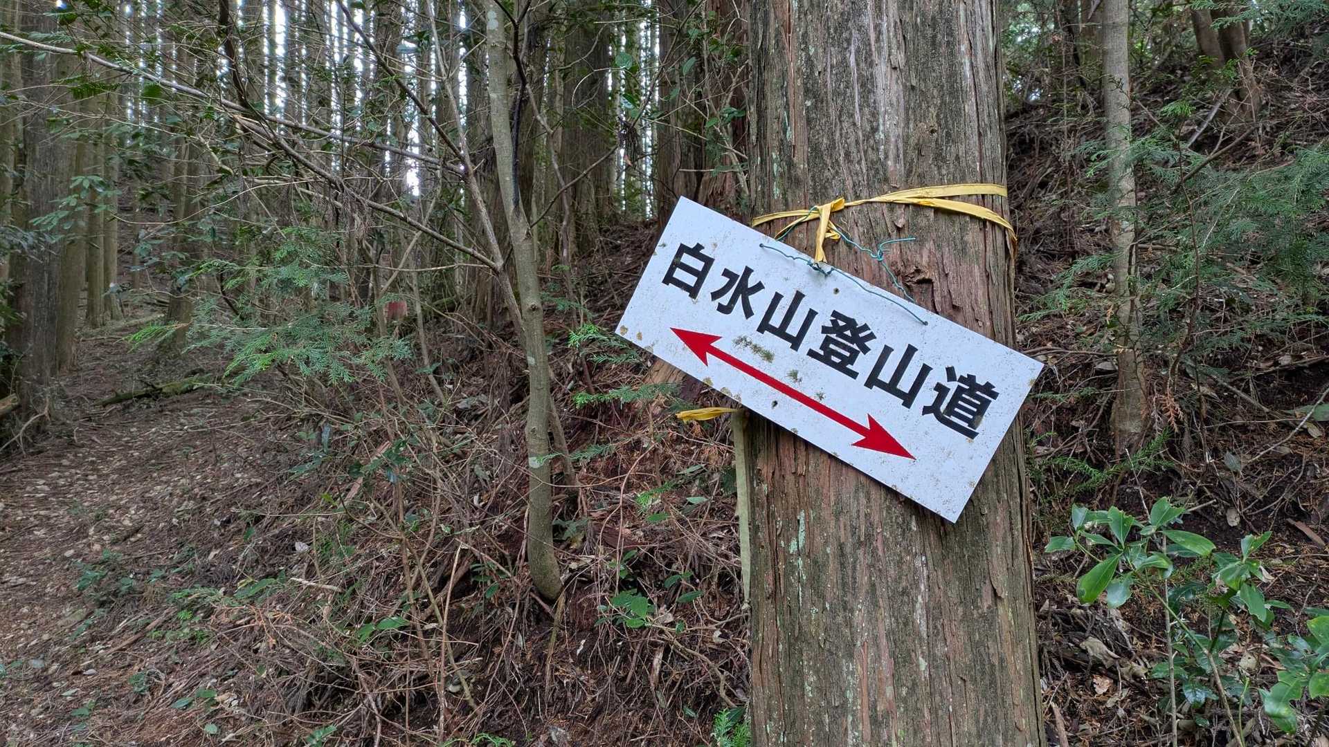 白水山-石神峠 周回コースの写真