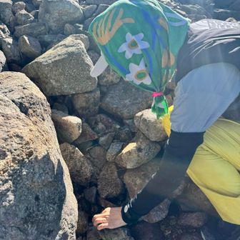 モヤモヤのままワリモ岳分岐（昨日通ったところ）へ向け登り返していると、テントを干してる謎のお姉さんと出会う。なんと黒部源流探しをしてると！この辺のはずと！一緒に探させてもらうことに✨