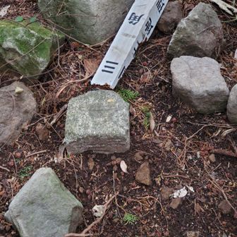 三等三角点:385.18ｍ
点名：唐人岳