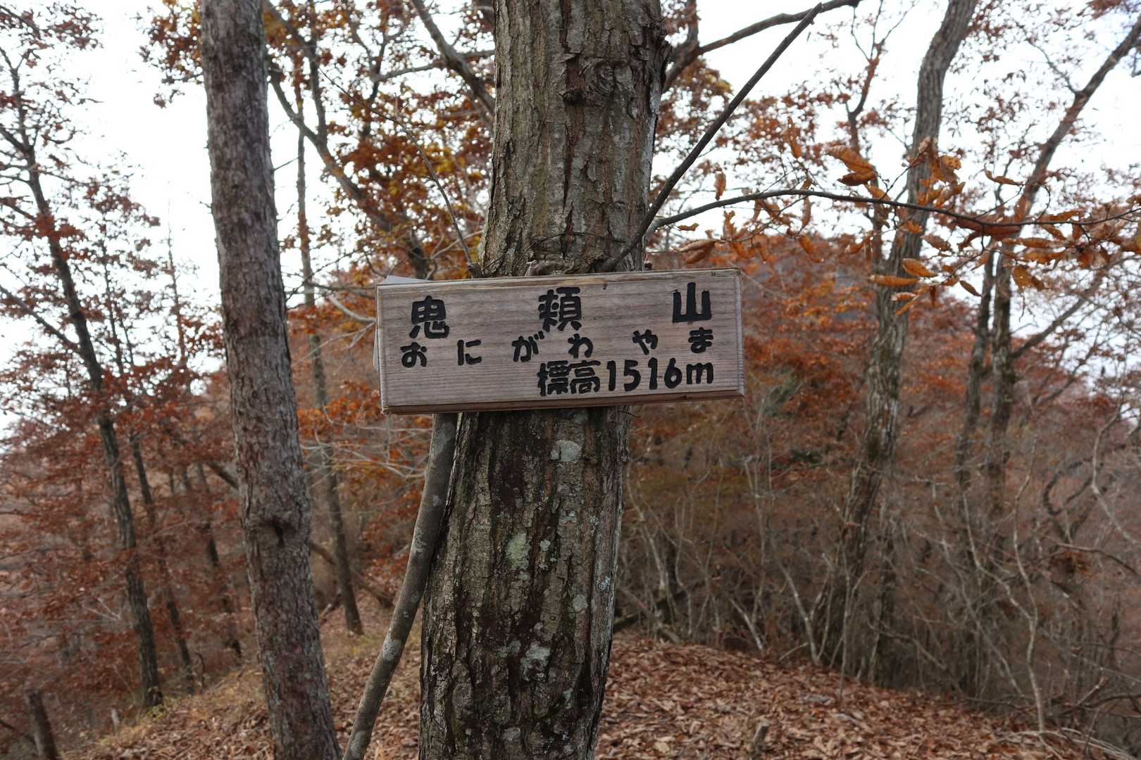 『おにがわやま』って読むんですよ～😆