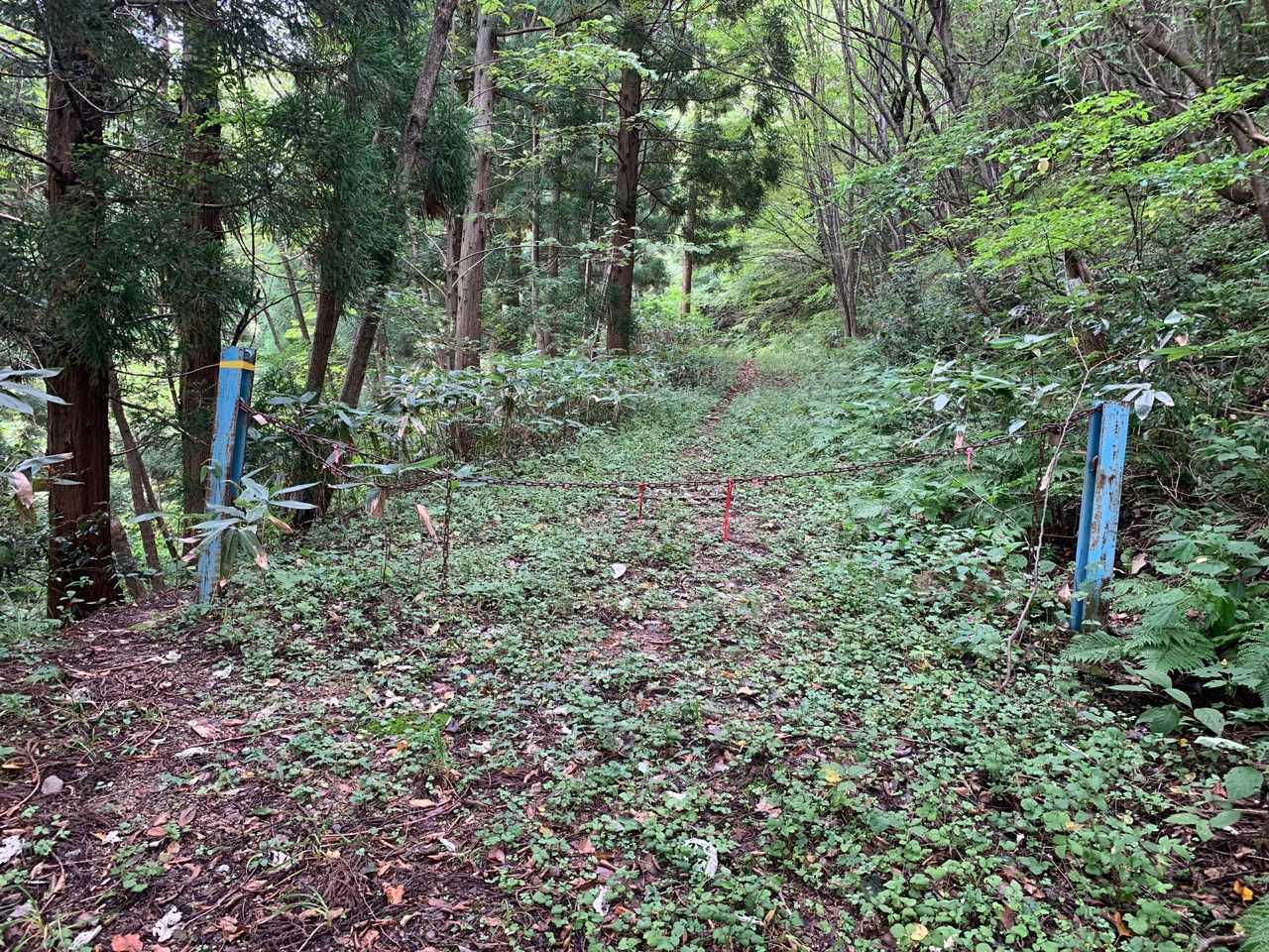 猿政山 往復コースの写真