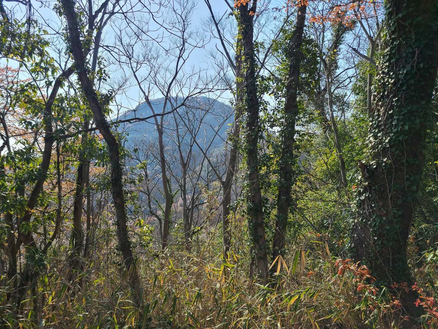 ん⁉️
あれは 紫雲出山 かな❓