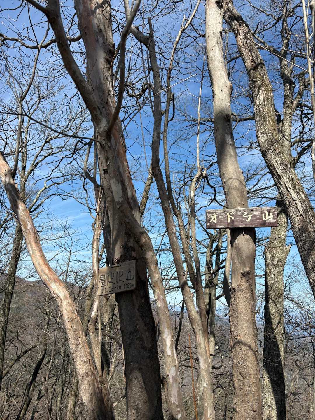 オドケ山山頂