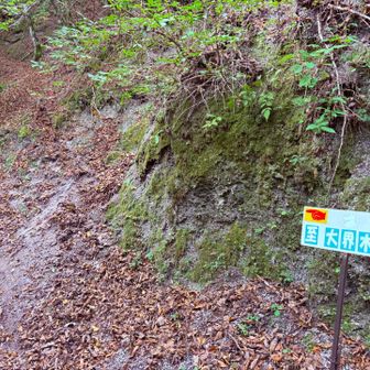 ココでルートミス
看板の直ぐ脇の細い落ち葉が正しいルート
間違えめ広い林道に下りてしまう