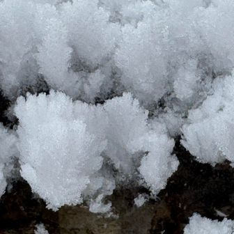 雪の造形美❄️