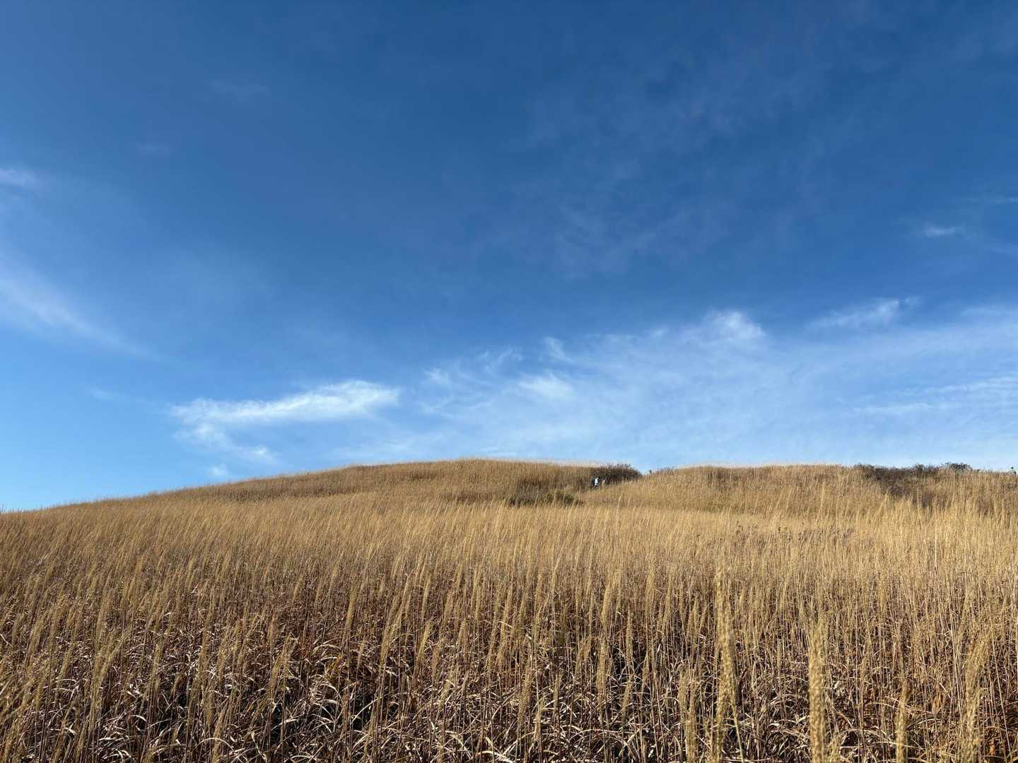 山頂台地…久しぶりに青空🩵