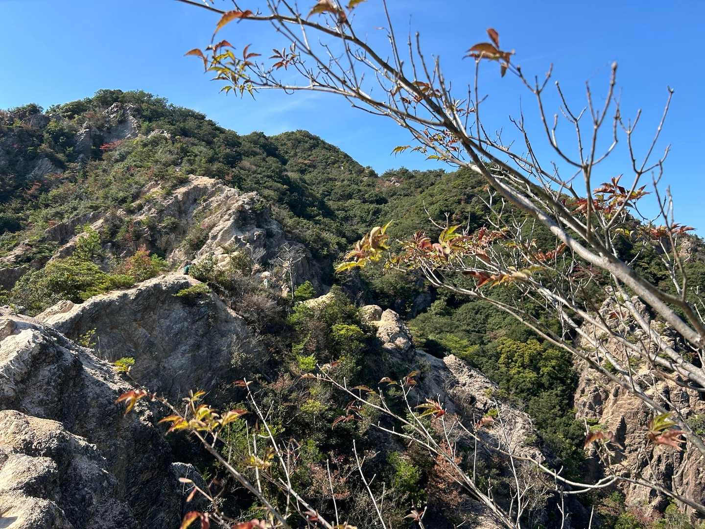 少し紅葉🍁
