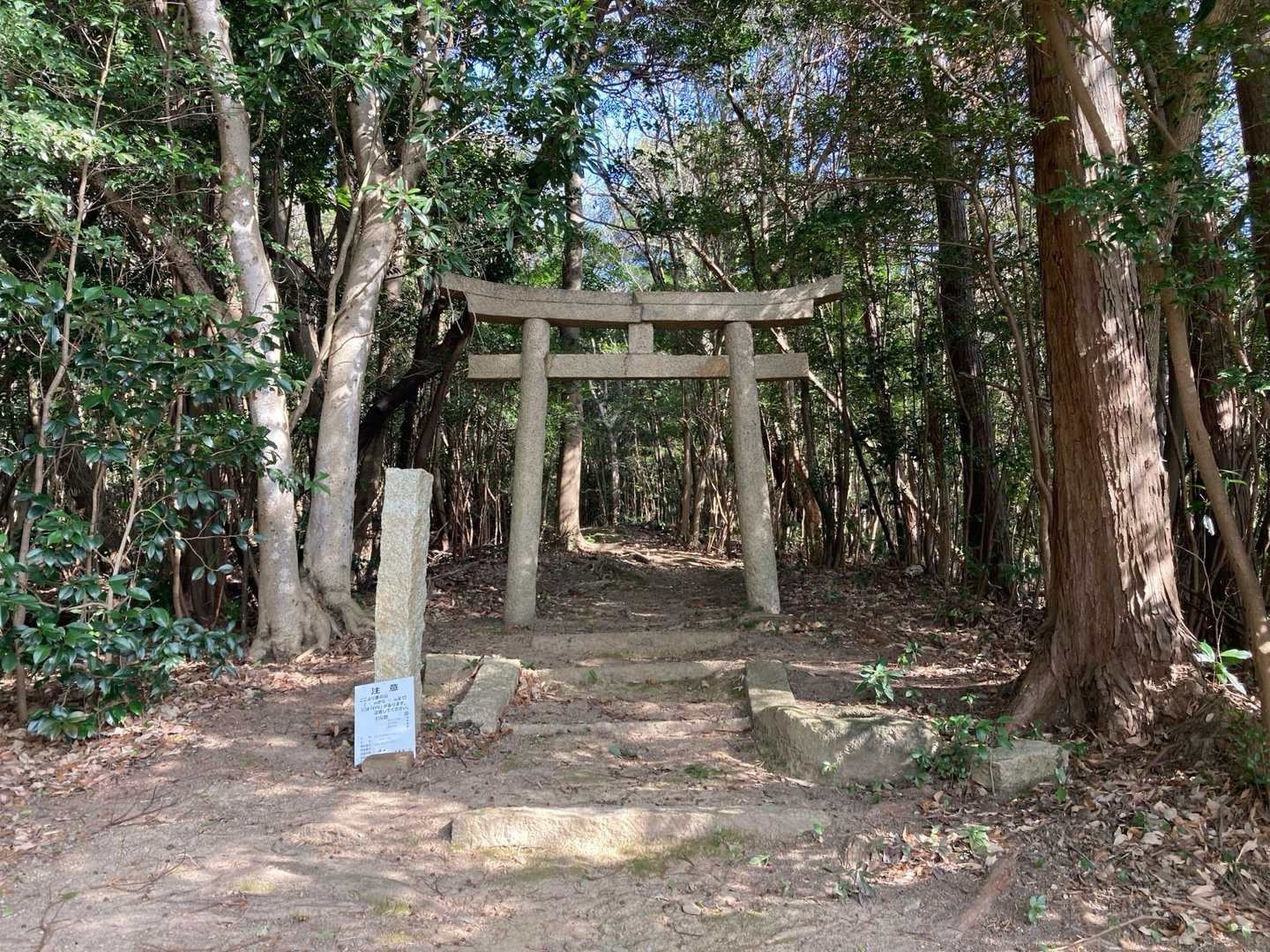 南部運動広場登山口-雨乞山-御伊勢山 周回コースの写真